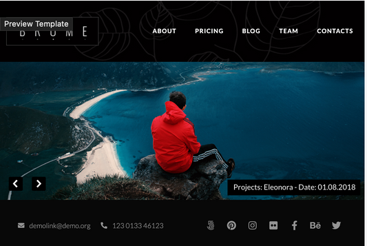 Art & Culture Websites